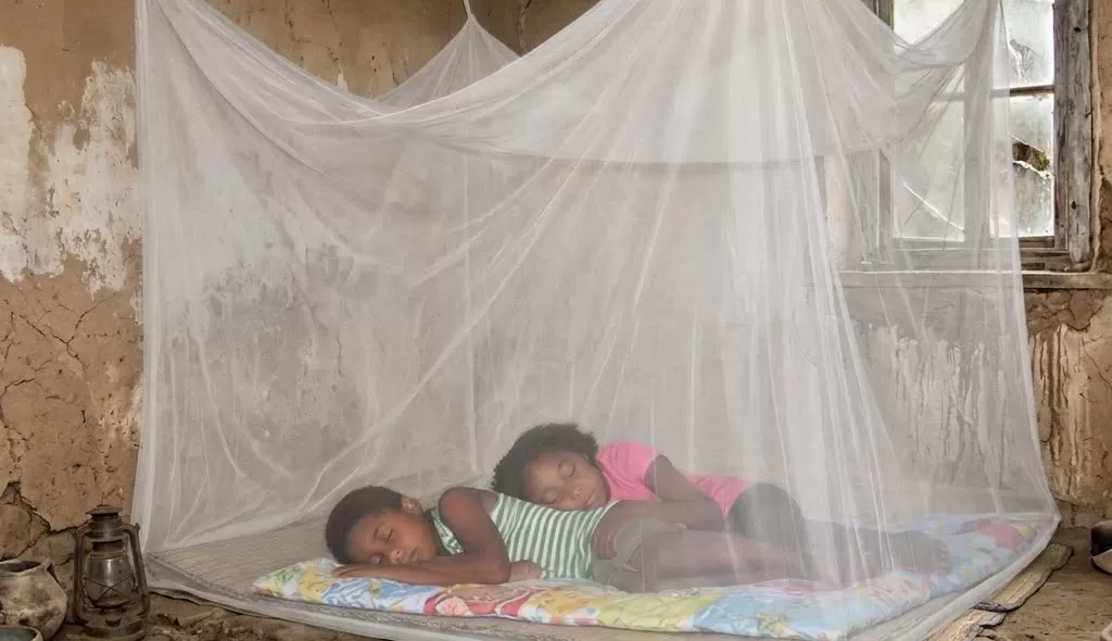 Rectangular mosquito net